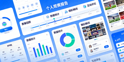 个人观赛报告功能展示画面